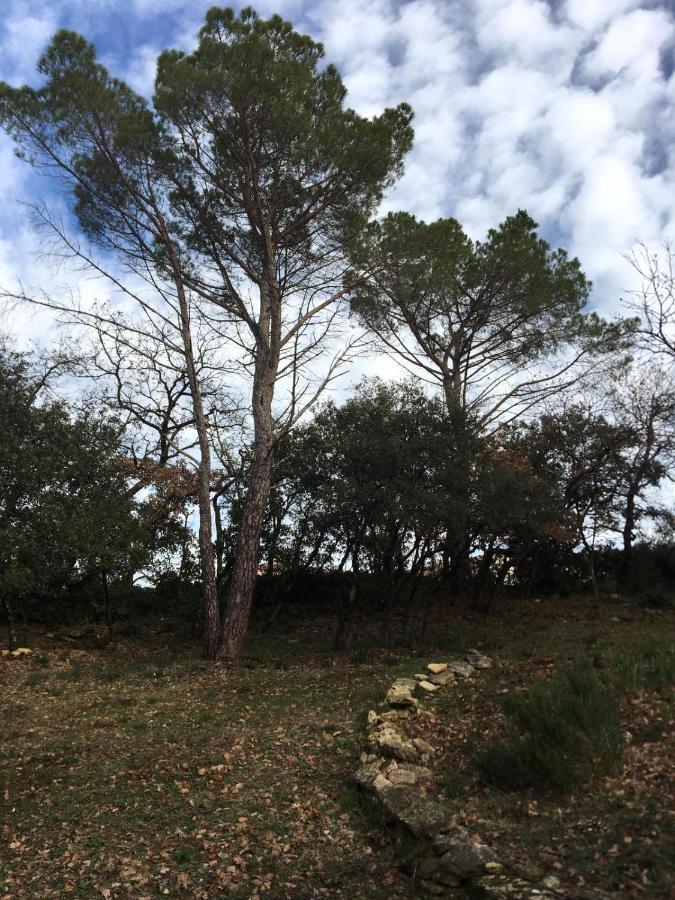 Les Marguerites Bed and Breakfast Vers Pont du Gard Εξωτερικό φωτογραφία