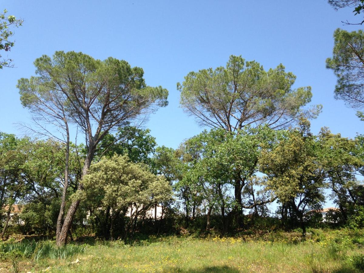 Les Marguerites Bed and Breakfast Vers Pont du Gard Εξωτερικό φωτογραφία