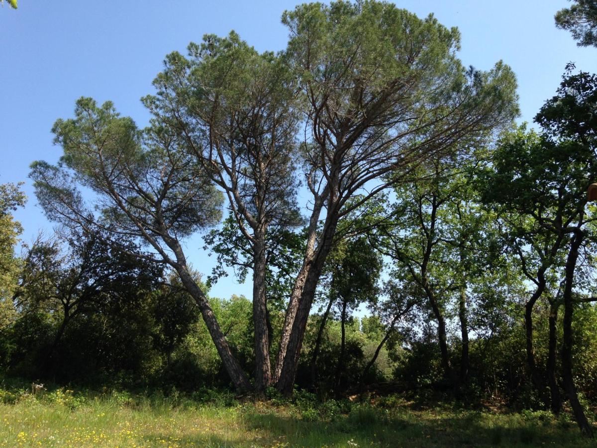 Les Marguerites Bed and Breakfast Vers Pont du Gard Εξωτερικό φωτογραφία