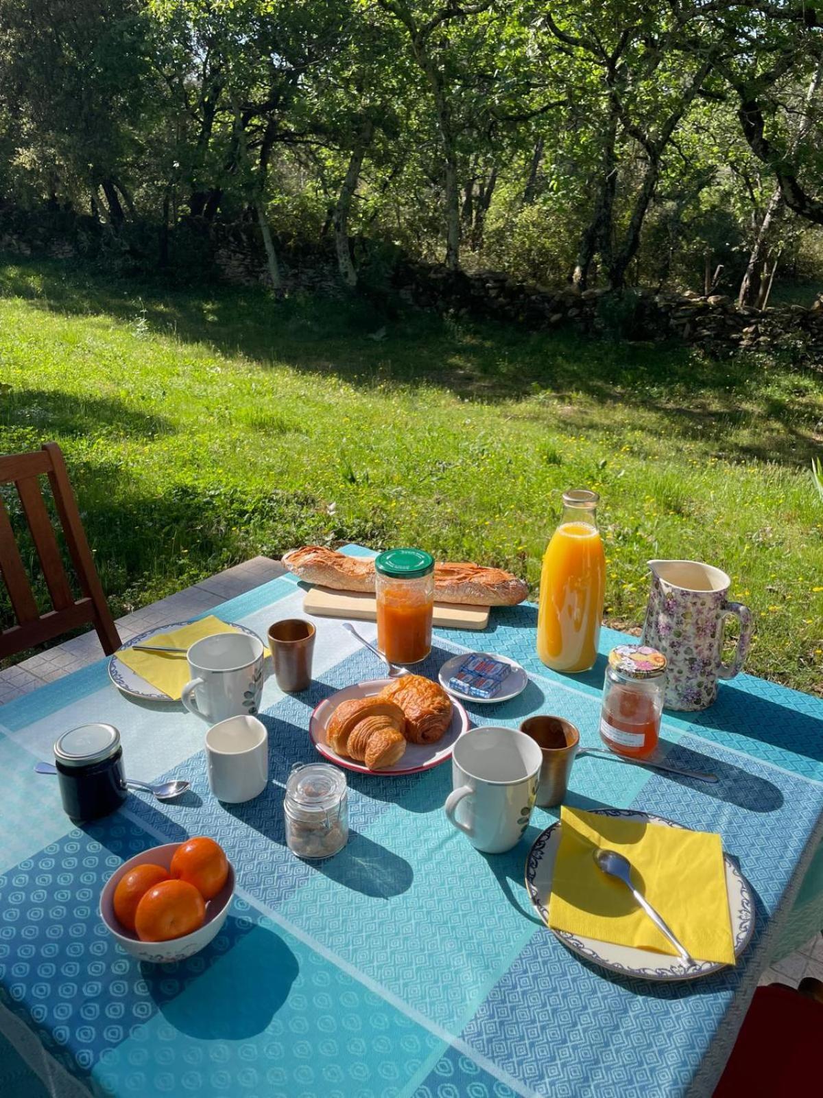 Les Marguerites Bed and Breakfast Vers Pont du Gard Εξωτερικό φωτογραφία